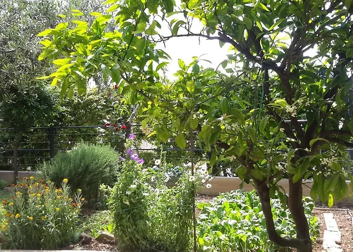 Arya * פודסטראנה